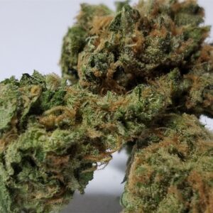 Buy Lamb’s Bread Cannabis Online
