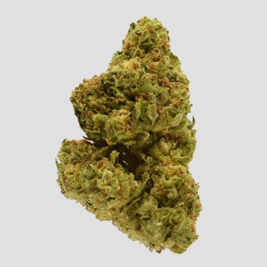 Buy Laughing Buddha Weed Strain