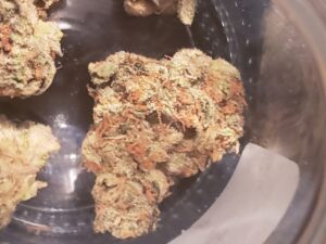 Buy Lava Cake Weed Strain