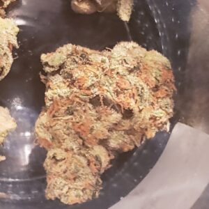 Buy Lava Cake Weed Strain