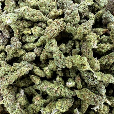 Buy Lemon Bean Weed Strain