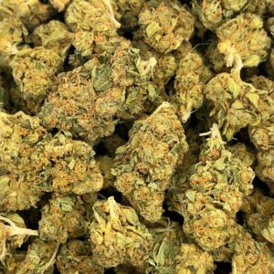Buy Lemon Haze Weed Strain