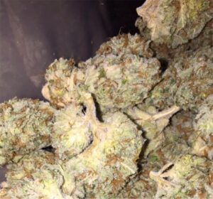 Buy Lemon Thai Weed Strain