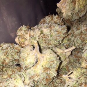 Buy Lemon Thai Weed Strain