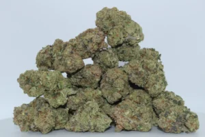 Buy Los Angeles OG Kush