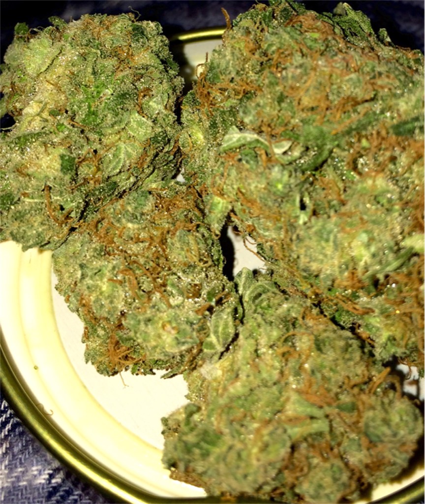 Buy Love Potion Weed Strain