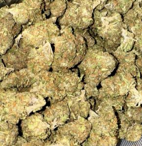 Buy Mag Landrace weed Strain