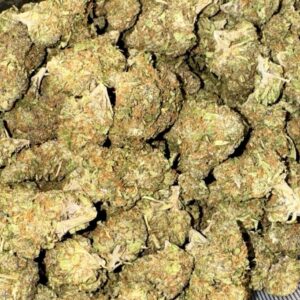 Buy Mag Landrace weed Strain