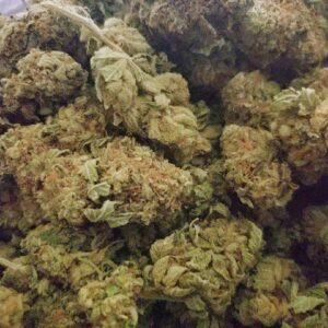 Buy Mango Haze Weed Online