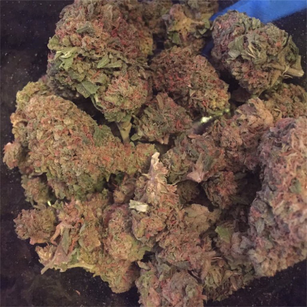 Buy Mango Kush Online
