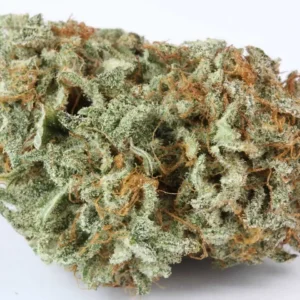Buy Master Kush Cannabis Strain