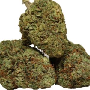 Buy Maui OG Weed Strain