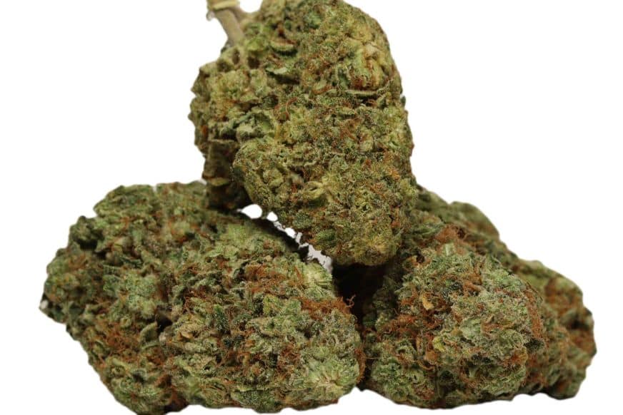 Buy Maui OG Weed Strain