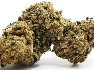 Buy MediHaze Weed Strain