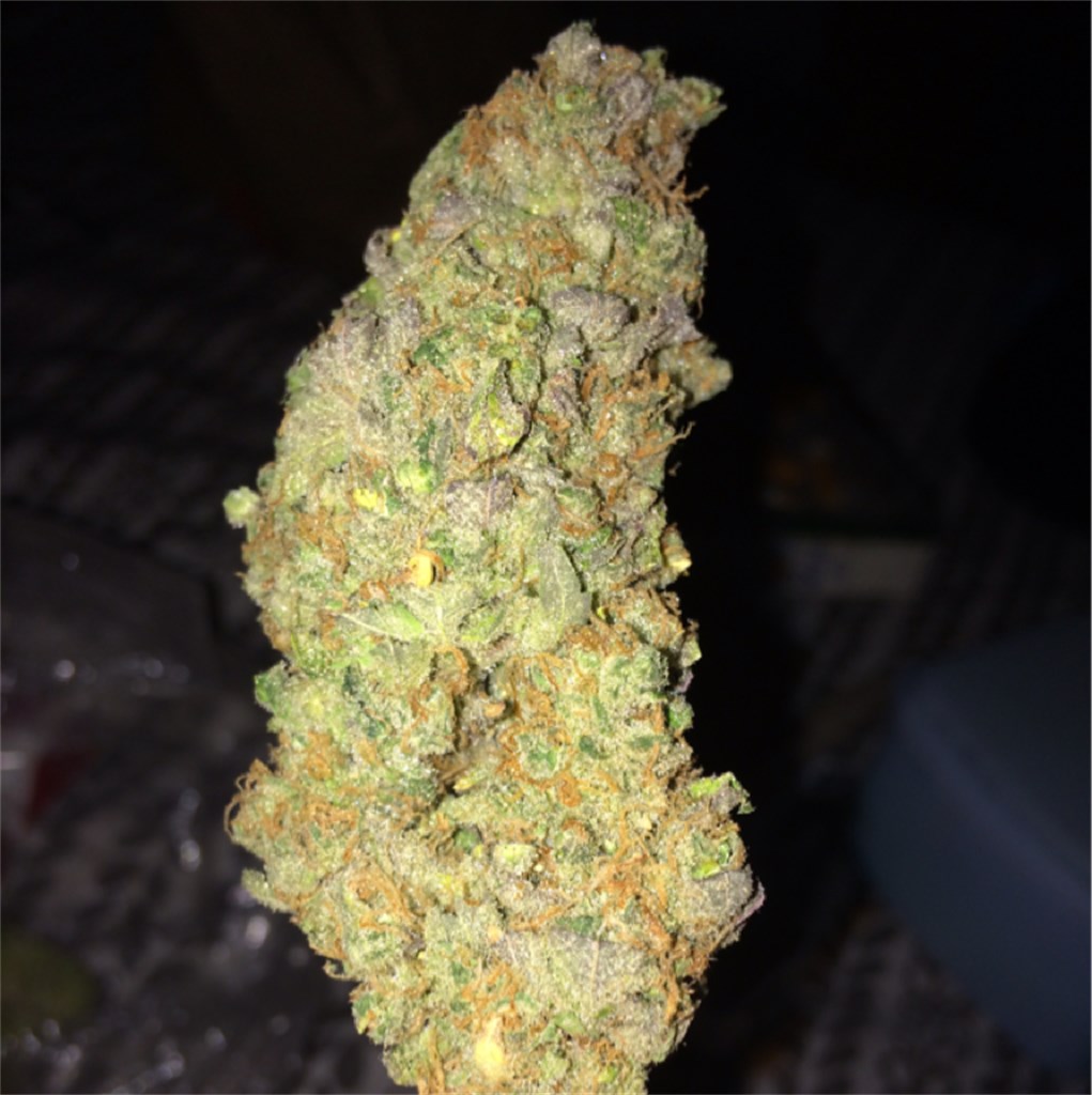 Buy Mickey Kush online