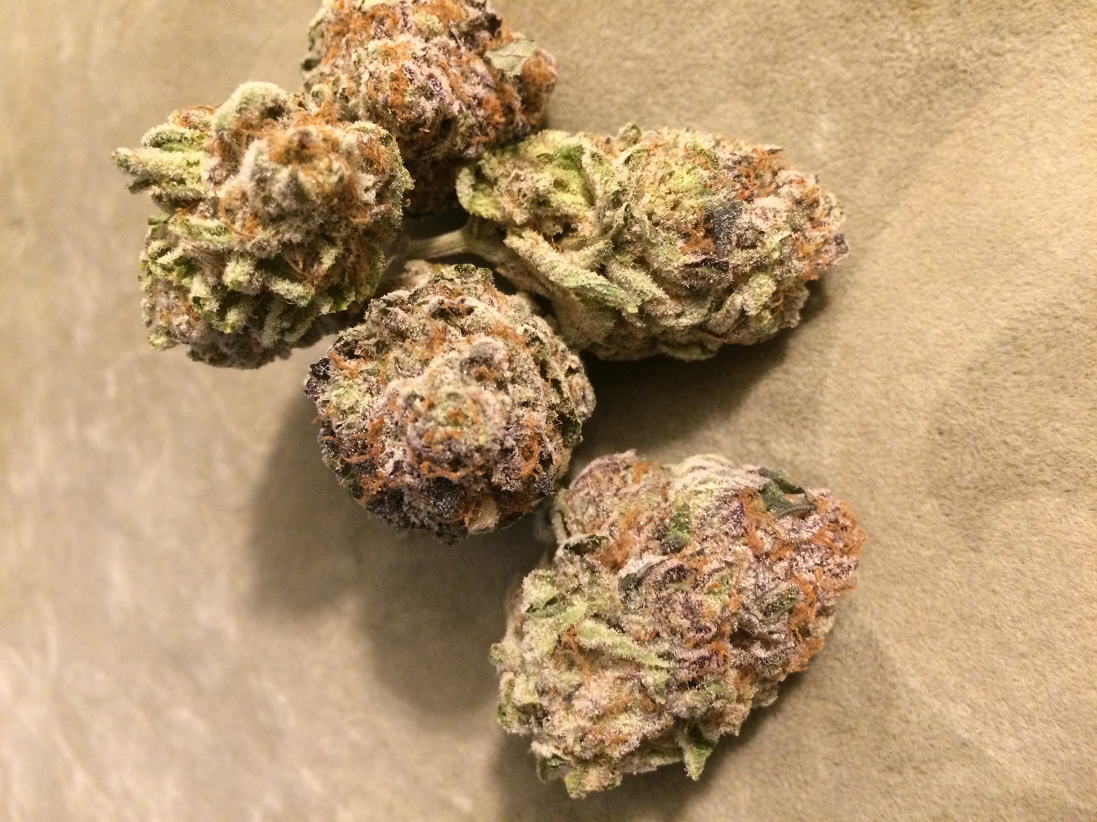 Buy Mimosa Weed Strain Online