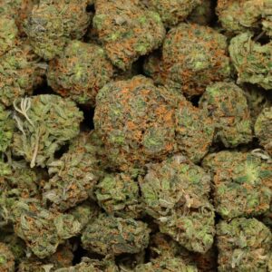 Buy Moby Dick Weed Online