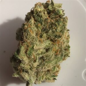 Buy Moonshine Haze Weed Online