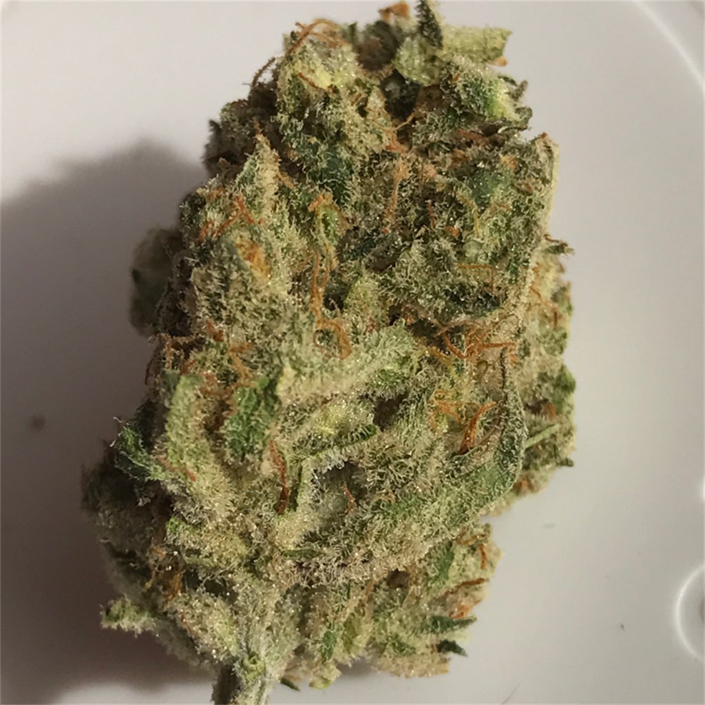 Buy Moonshine Haze Weed Online