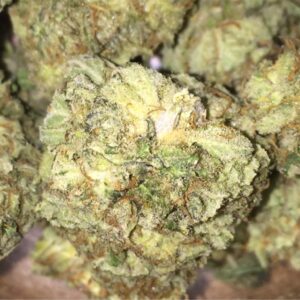 Buy Moose and Lobsta Weed Strain