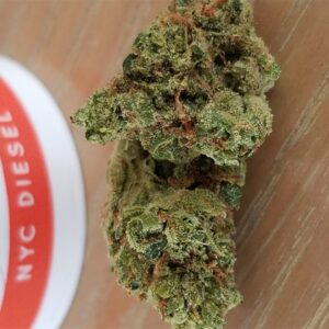 Buy NYC Diesel Weed Strain