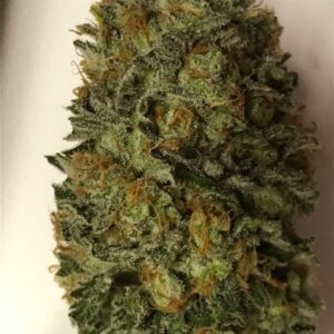 Buy Northern Lights strain Online
