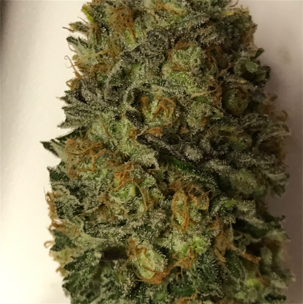 Buy Northern Lights strain Online