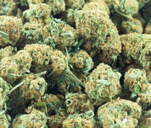 Buy OG Kush Strain