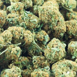 Buy OG Kush Strain