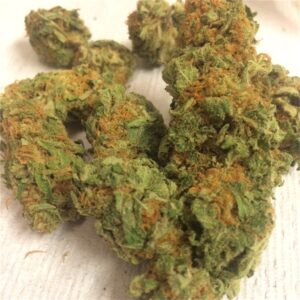 Buy Orange Cookies Weed Online