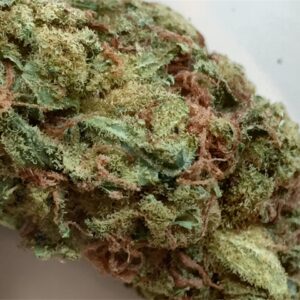 Buy Pandora's Box Weed Strain