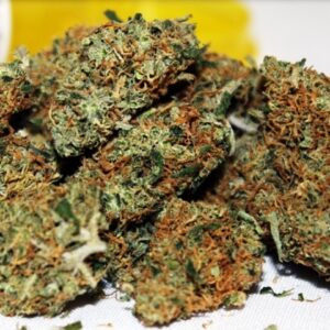 Buy Pennywise Weed strain Online