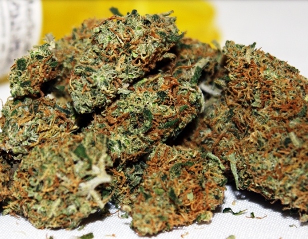 Buy Pennywise Weed strain Online