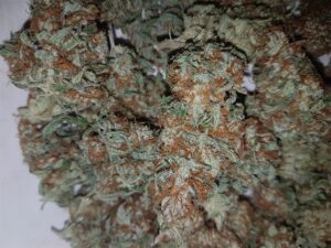 Buy Pineapple Kush Online