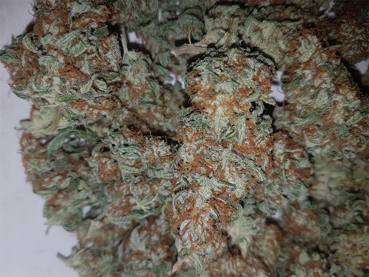 Buy Pineapple Kush Online