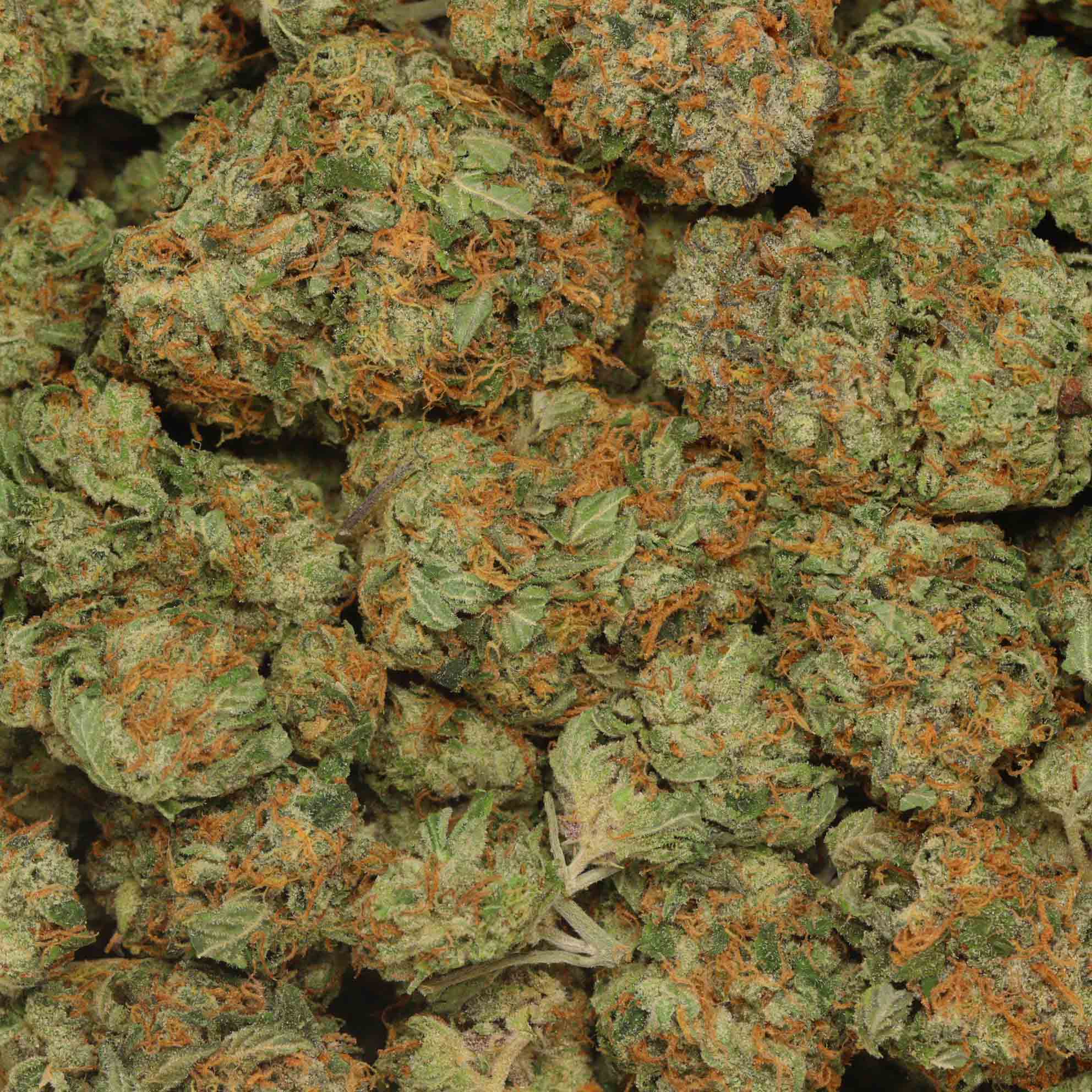 Buy Pink OG Kush Online