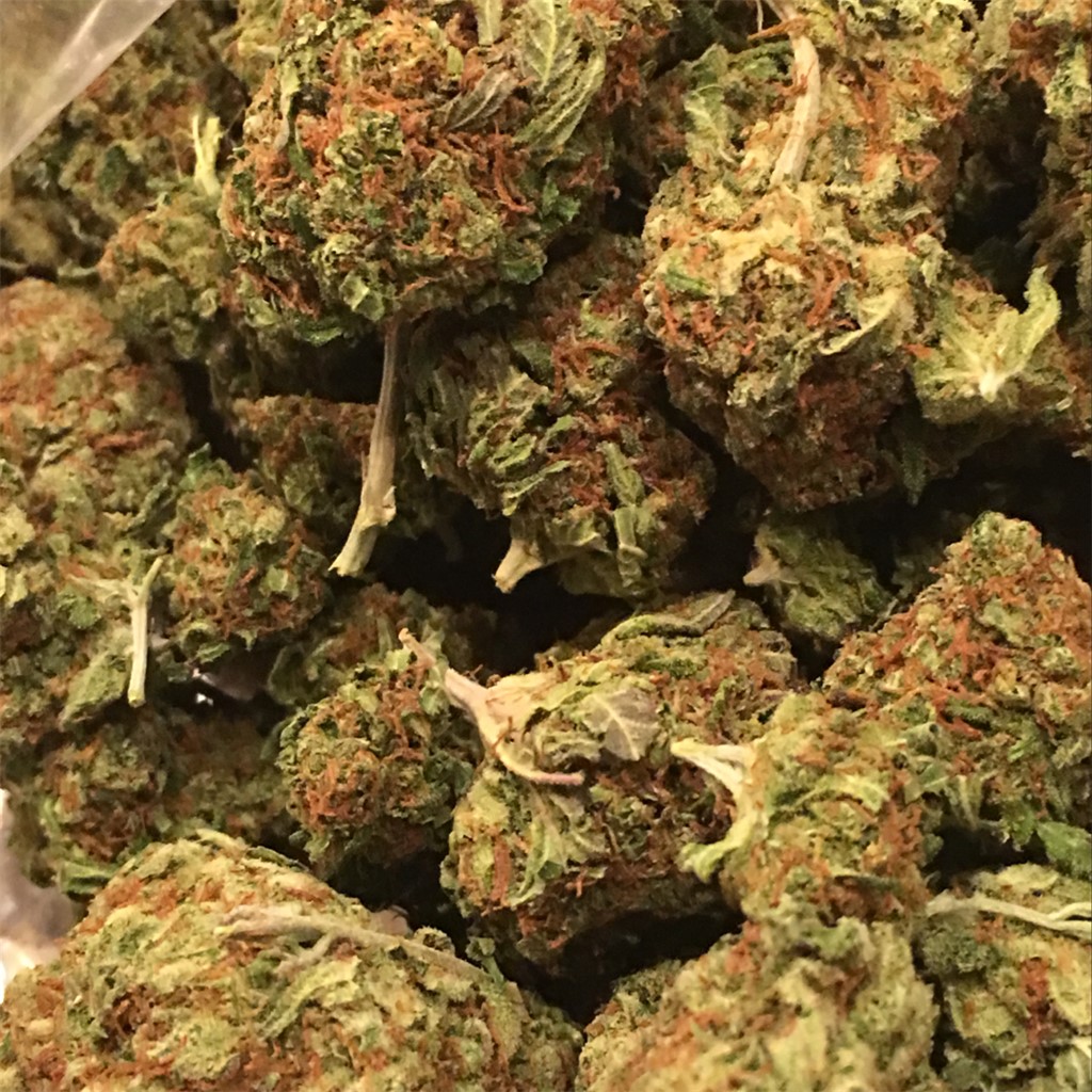 Buy Pitbull Weed Strain Online