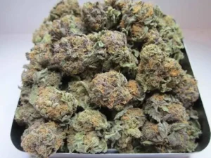 Buy Platinum Bubba Kush Online