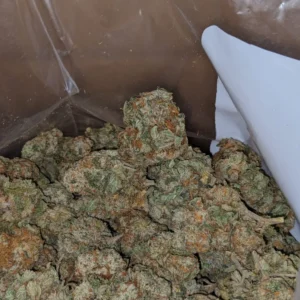 Buy Platinum OG Online