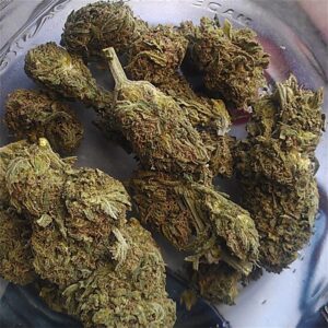 Buy Platinum Purple Kush Online