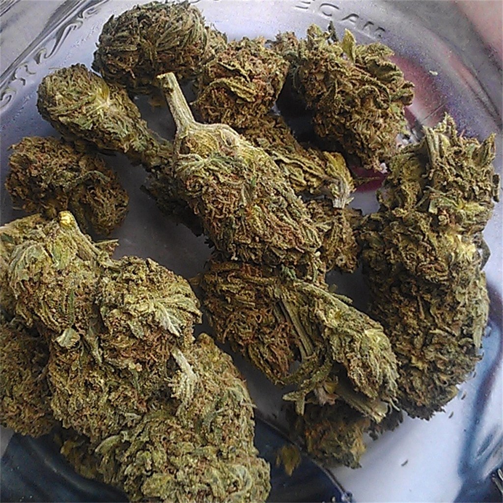 Buy Platinum Purple Kush Online
