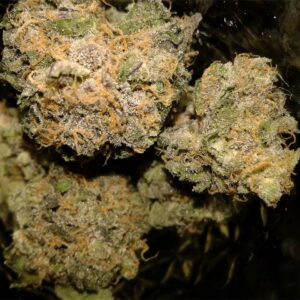 Buy Plushberry Kush Online