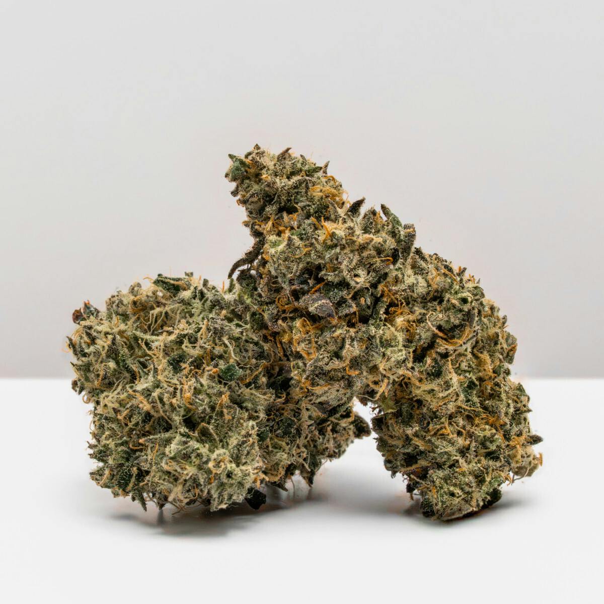 Buy Pot of Gold Cannabis Online