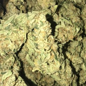 Buy Power Plant Weed Online