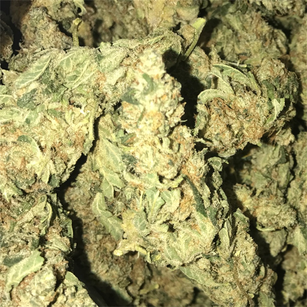 Buy Power Plant Weed Online