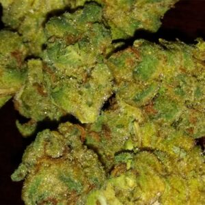 Buy Pre-98 Bubba Kush Online