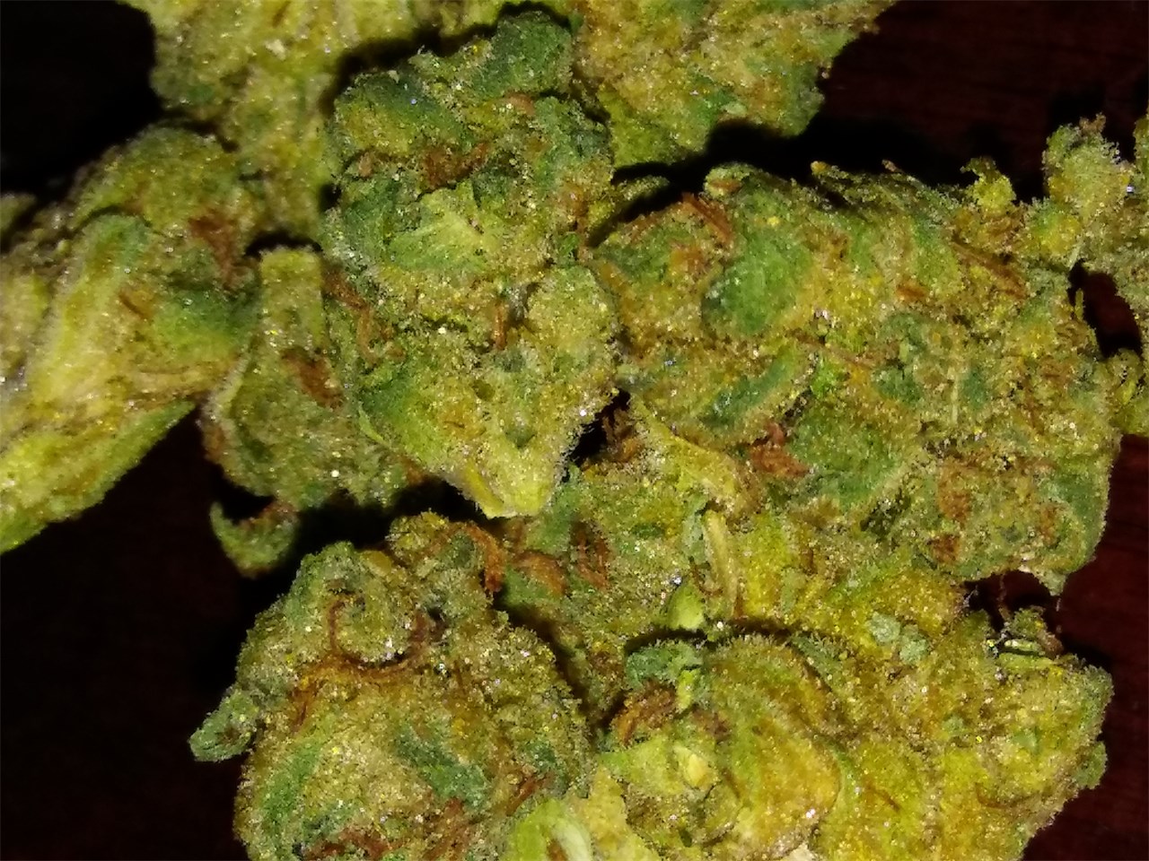 Buy Pre-98 Bubba Kush Online