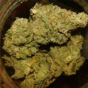 Buy Pure Kush Online