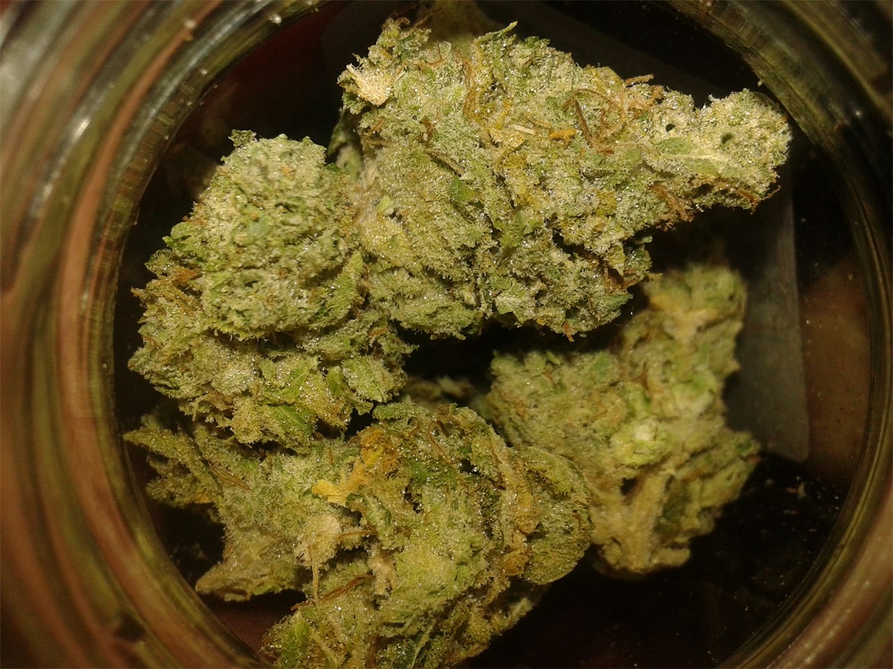 Buy Pure Kush Online