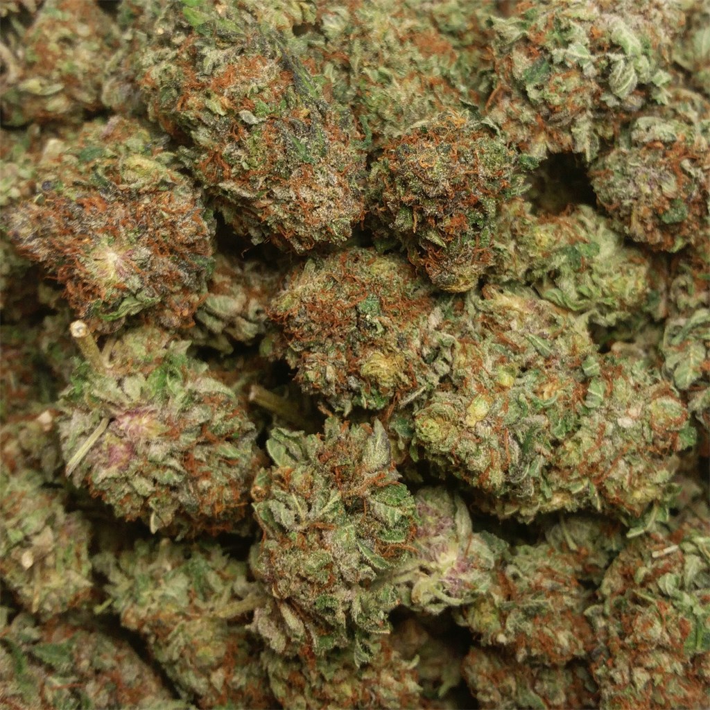 Buy Purple OG Kush Online